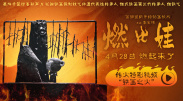 大麦的隐秘生活