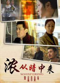 老妇人av