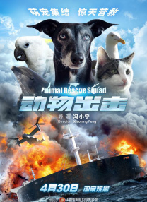 akt总站入口浏览器
