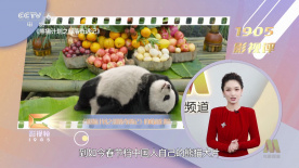 制服丝袜影音